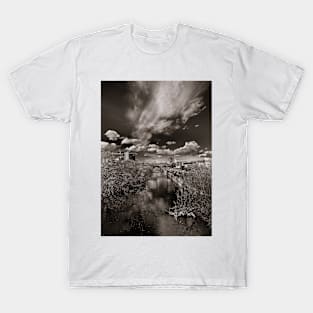 Don River North No 1 T-Shirt